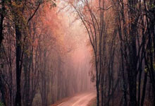 顶尖球队争相角逐，为赢得比赛而全力拼搏