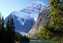 国内足球盛况空前，各队实力激烈碰撞